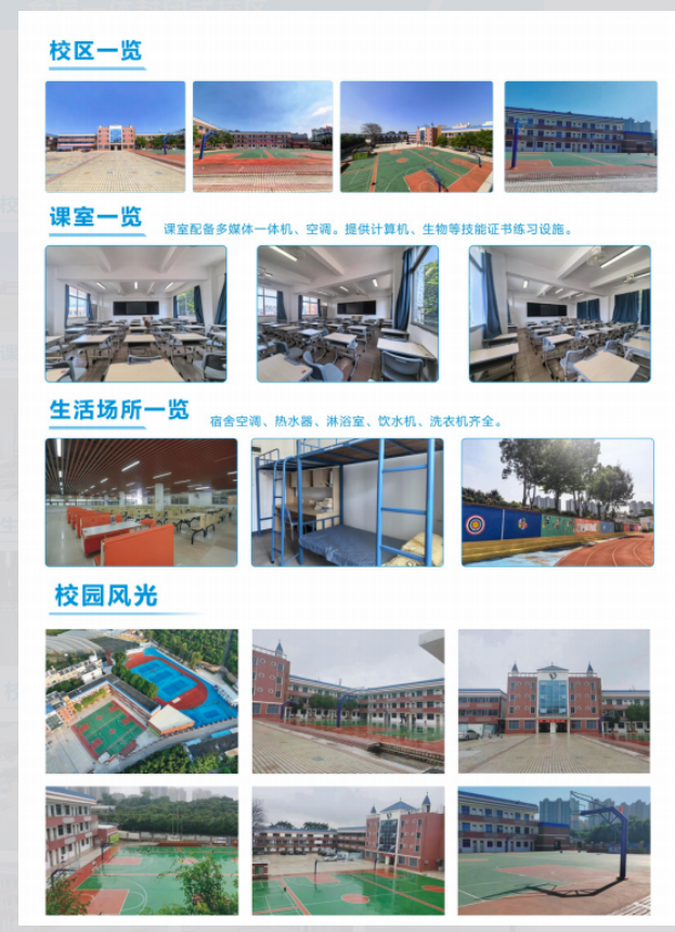 1786689674130728.png image.png